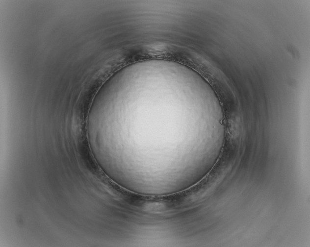X0000113020653200909101839