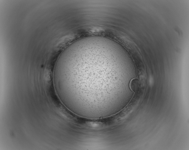 X0000113020654200909101839