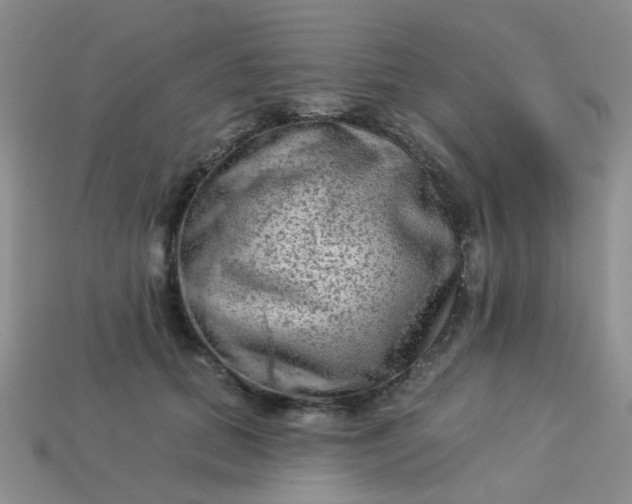 X0000113020655200909101839