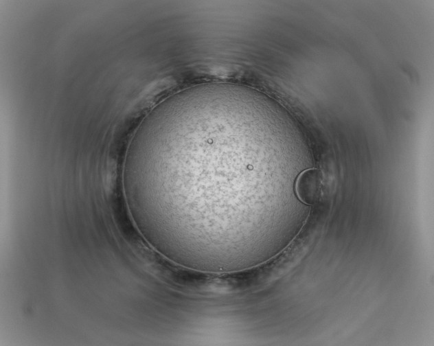 X0000113020656200909101839