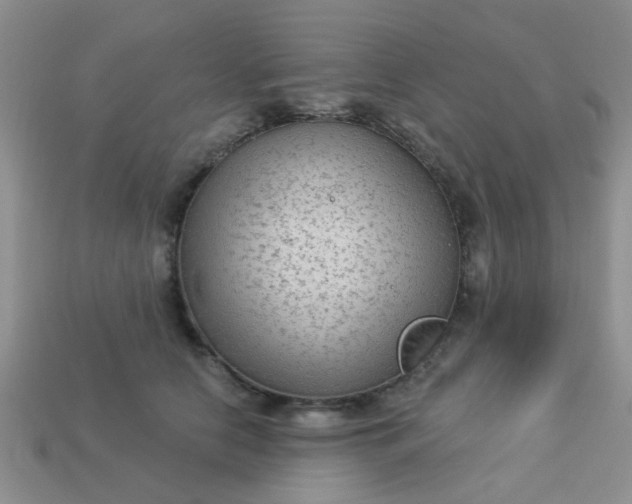 X0000113020658200909101839