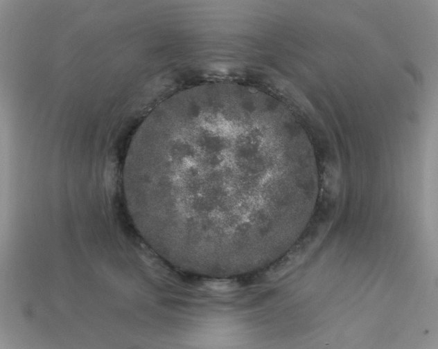 X0000113020659200909101839