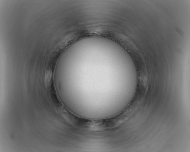X0000113020660200909101839