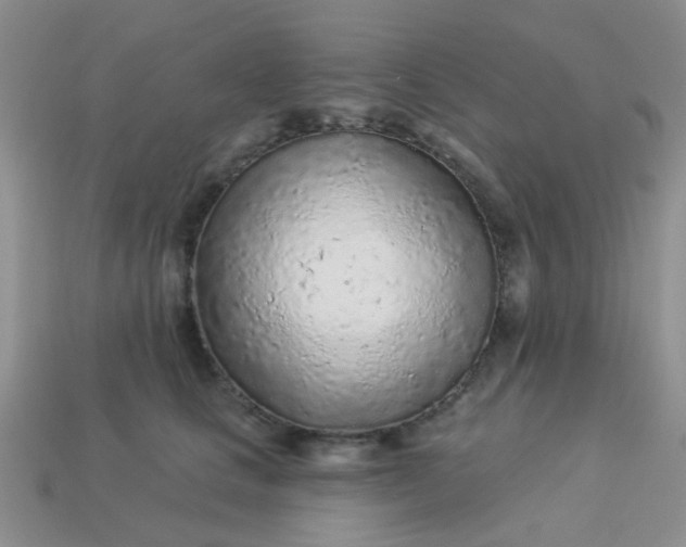 X0000113020661200909101839