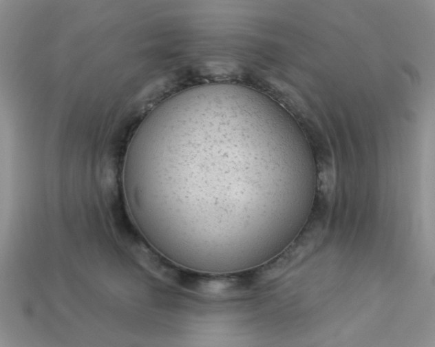 X0000113020662200909101839