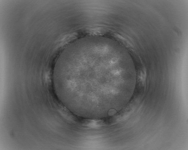 X0000113020663200909101839