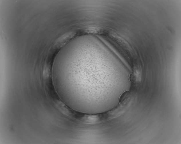 X0000113020665200909101839