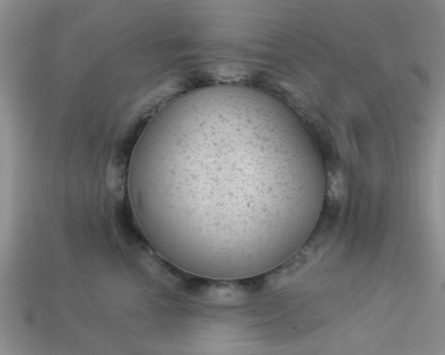 X0000113020666200909101839
