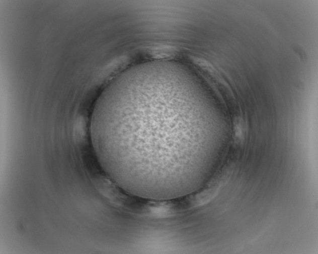 X0000113020667200909101839
