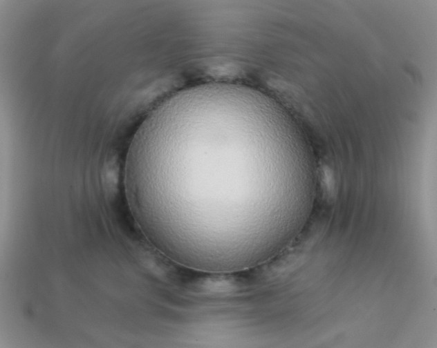 X0000113020668200909101839