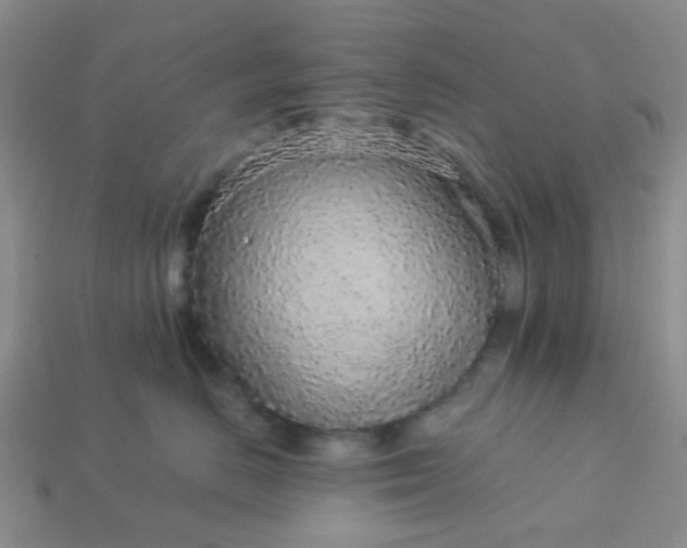 X0000113020670200909101839
