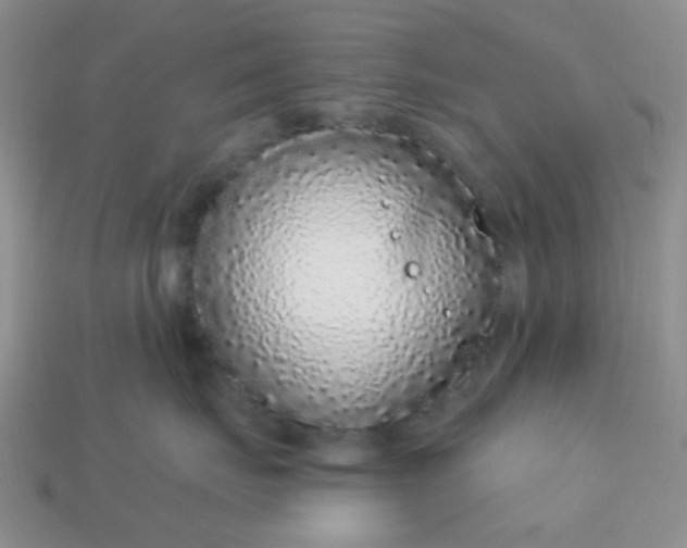 X0000113020671200909101839