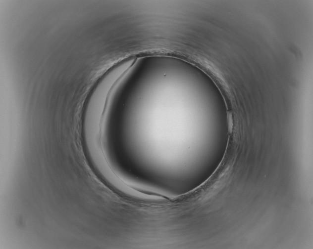 X0000113020673200909101838