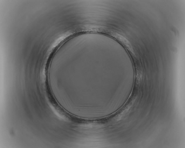 X0000113020674200909101838