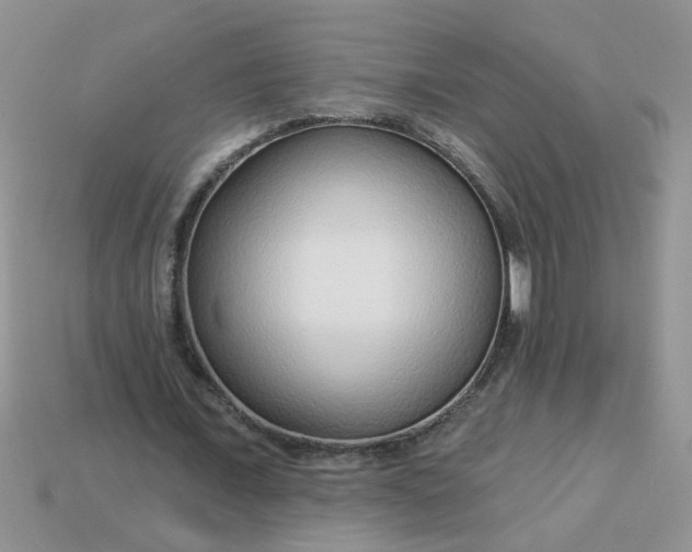 X0000113020675200909101838