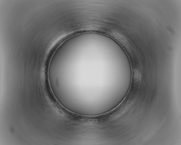 X0000113020676200909101838
