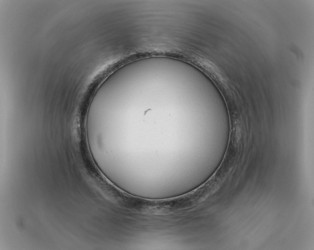 X0000113020680200909101838