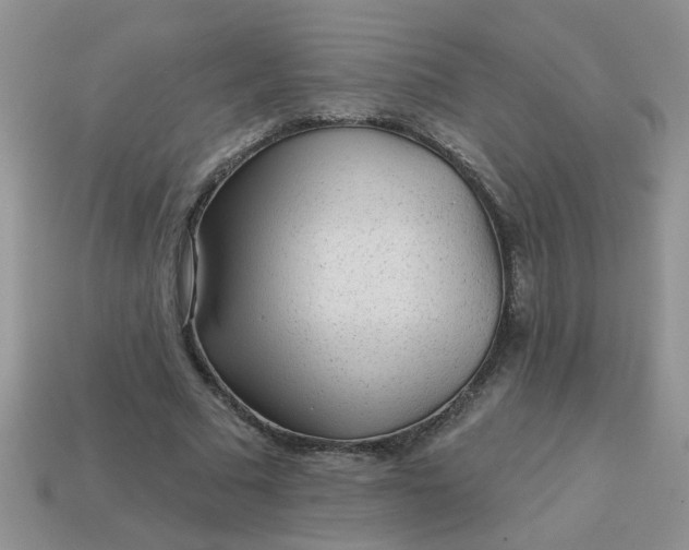 X0000113020681200909101838