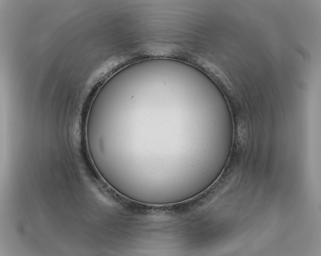 X0000113020682200909101838
