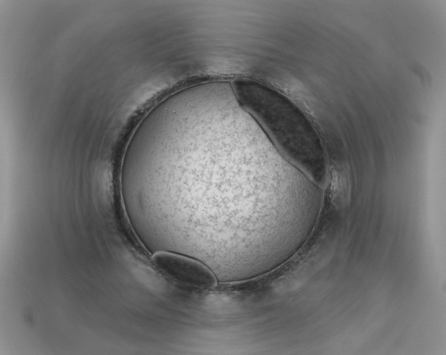 X0000113020684200909101838