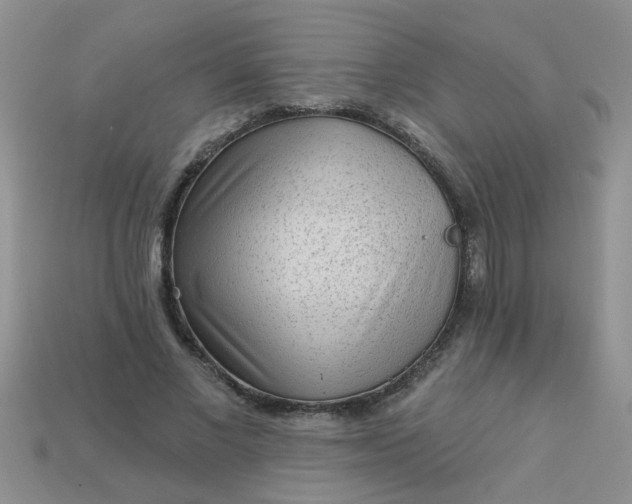 X0000113020685200909101838