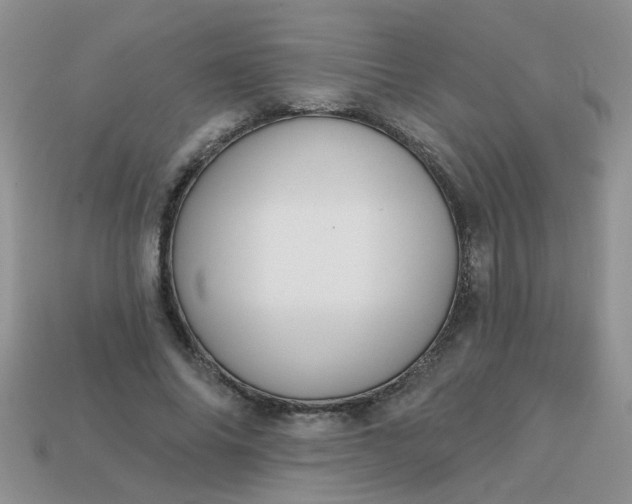 X0000113020686200909101838