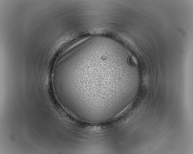 X0000113020687200909101838