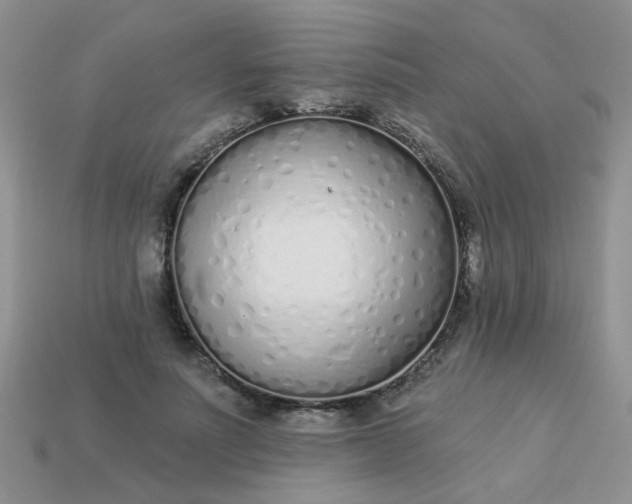X0000113020691200909101838