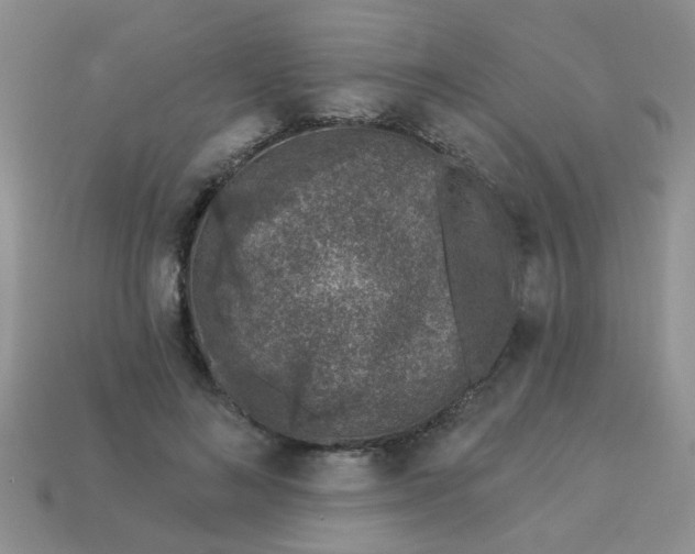 X0000113020692200909101838