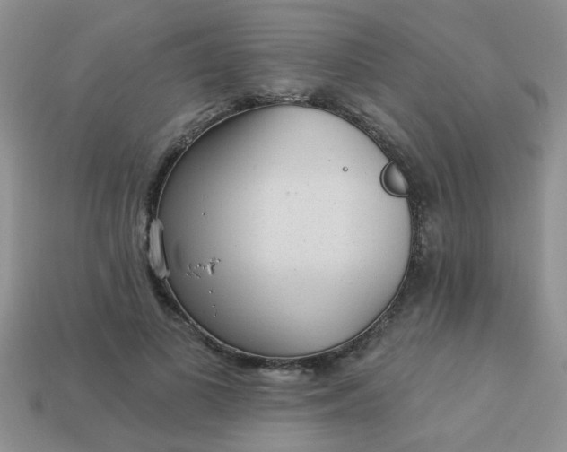 X0000113020693200909101838
