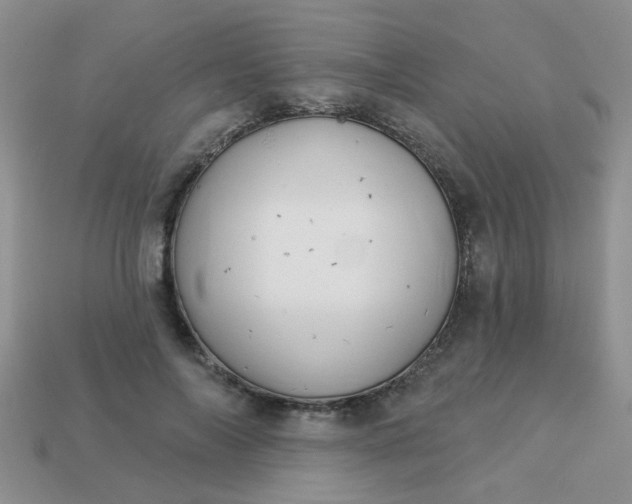 X0000113020694200909101838
