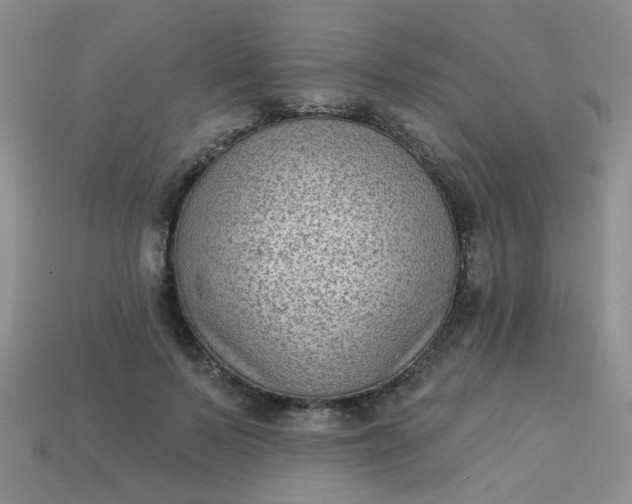 X0000113020695200909101838
