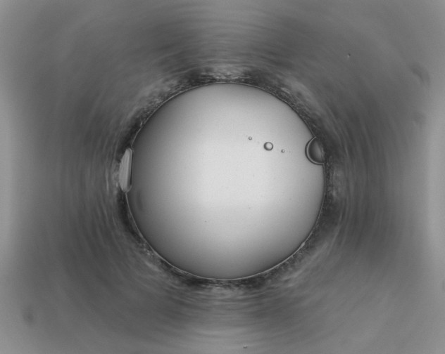 X0000113020697200909101838