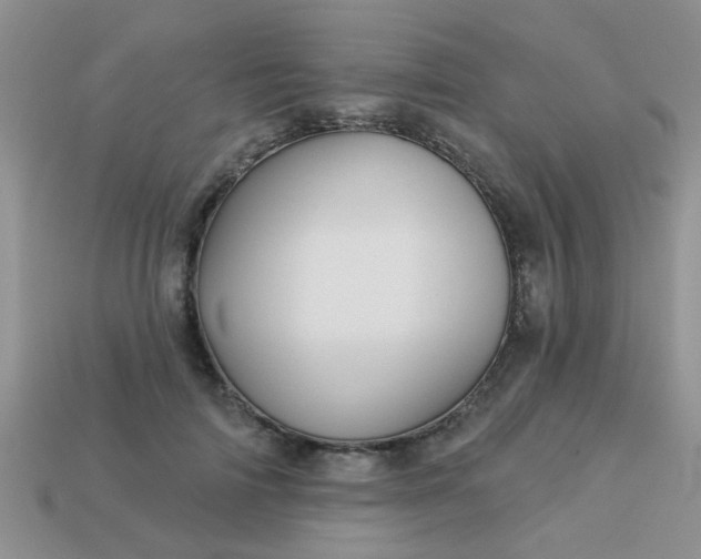 X0000113020698200909101838
