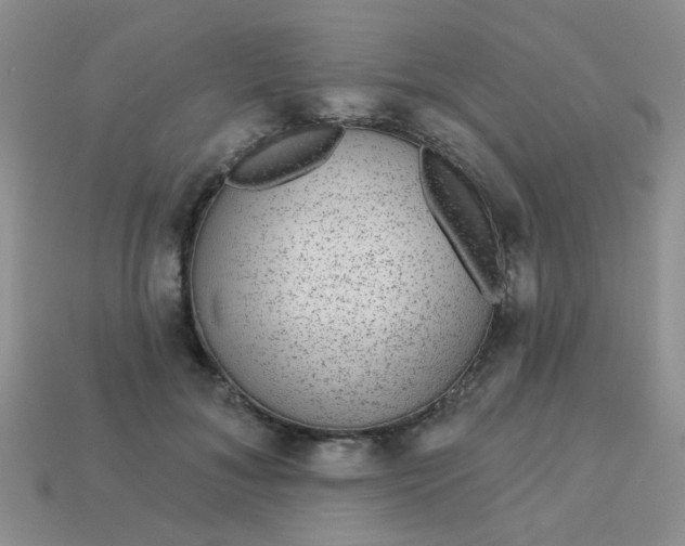 X0000113020700200909101838