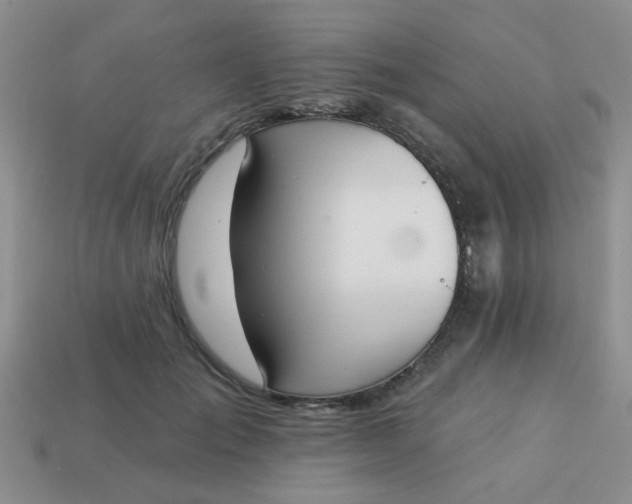 X0000113020701200909101838