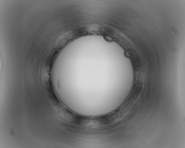X0000113020702200909101838