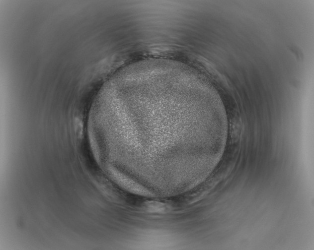 X0000113020703200909101838