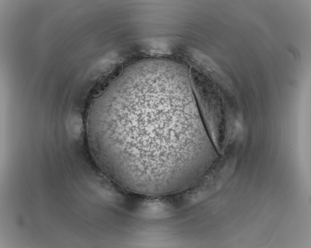 X0000113020704200909101838