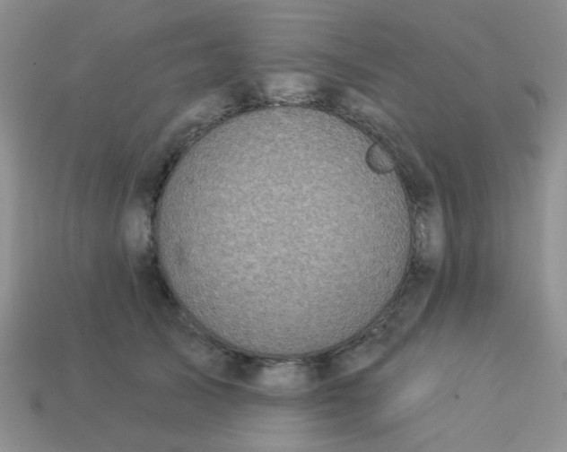 X0000113020705200909101838