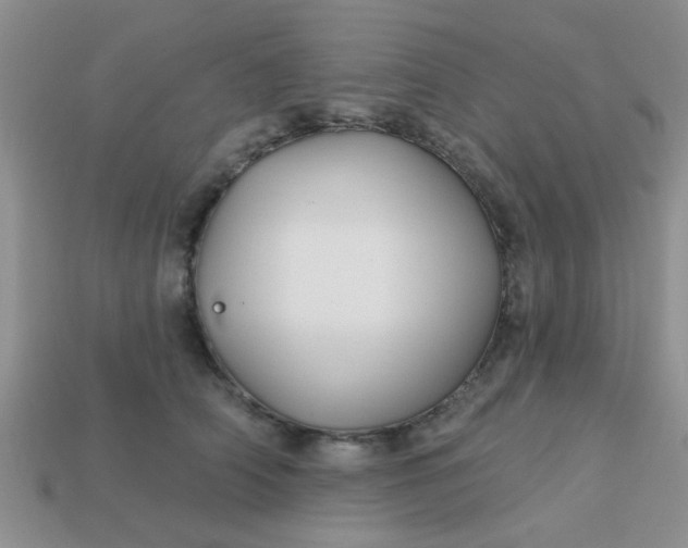 X0000113020706200909101838