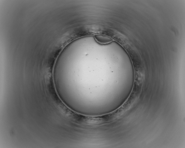 X0000113020707200909101838