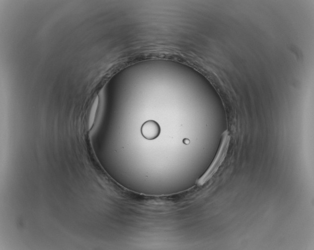 X0000113020708200909101838