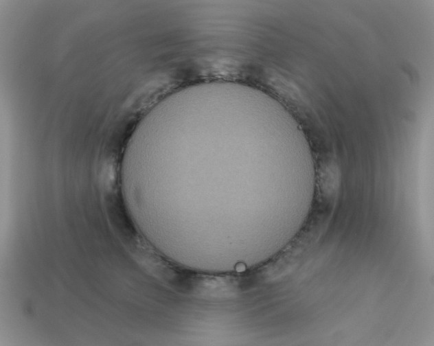 X0000113020709200909101838