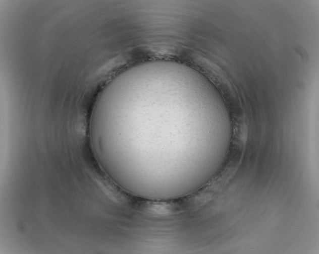 X0000113020710200909101838
