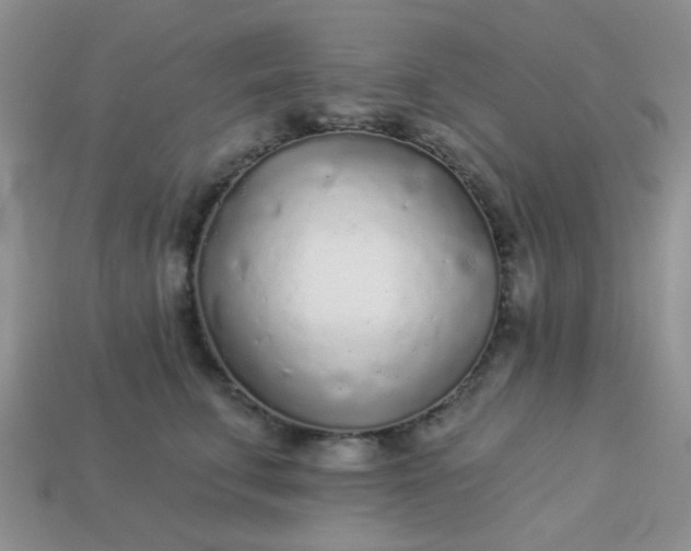 X0000113020711200909101838