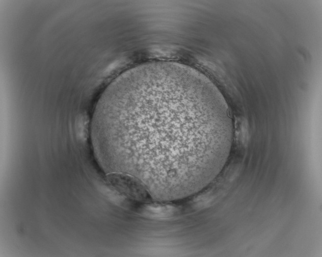 X0000113020712200909101838