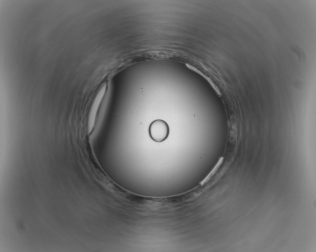 X0000113020713200909101838