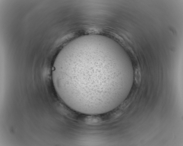 X0000113020714200909101838