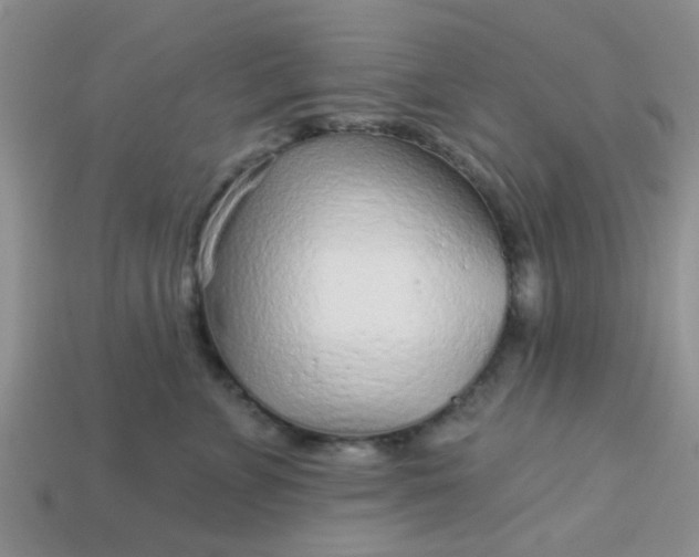 X0000113020715200909101838